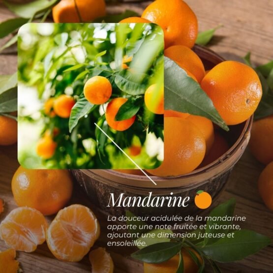 Mandarine